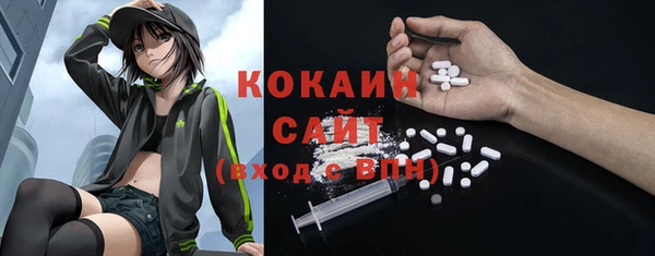 гидропоника Горнозаводск