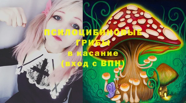 мдма Гусиноозёрск
