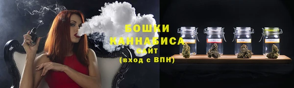 гидропоника Горнозаводск