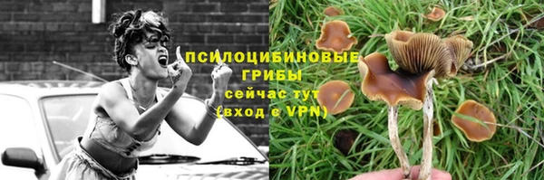 молекула духа Гусь-Хрустальный
