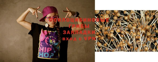 меф Гусев